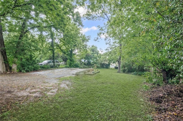 1591 Jonesboro Rd SE, Atlanta, GA 30315 - view of grassy yard