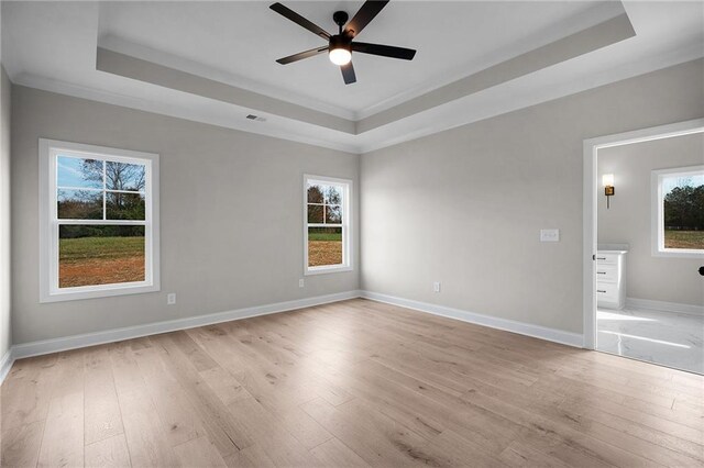 unfurnished room featuring a raised ceiling, a healthy amount of sunlight, and light wood-type flooring