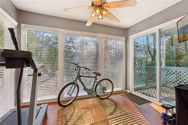 sunroom featuring a wealth of natural light and ceiling fan