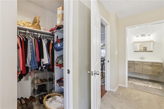 spacious closet with carpet