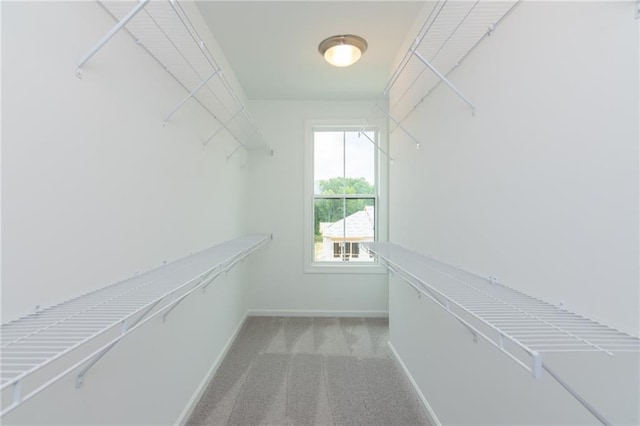 spacious closet featuring light colored carpet