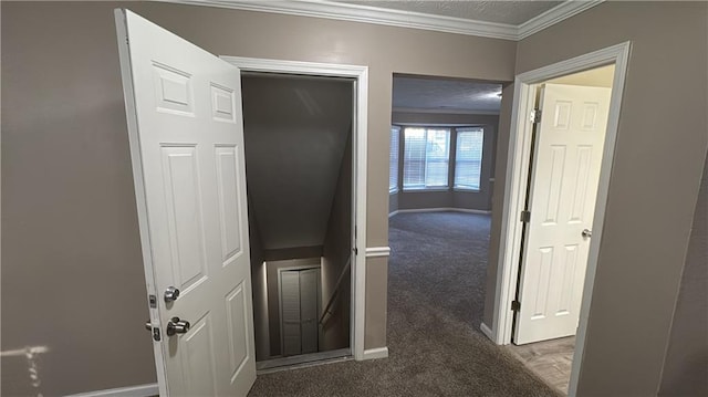 corridor featuring carpet floors and crown molding