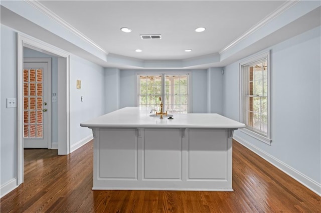 kitchen featuring baseboards, visible vents, and dark wood finished floors