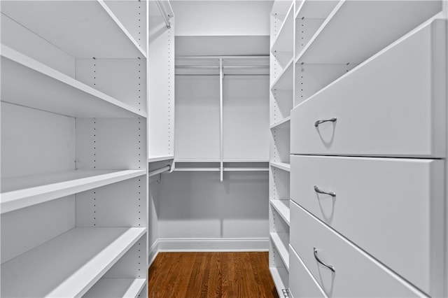 walk in closet with dark wood-style flooring