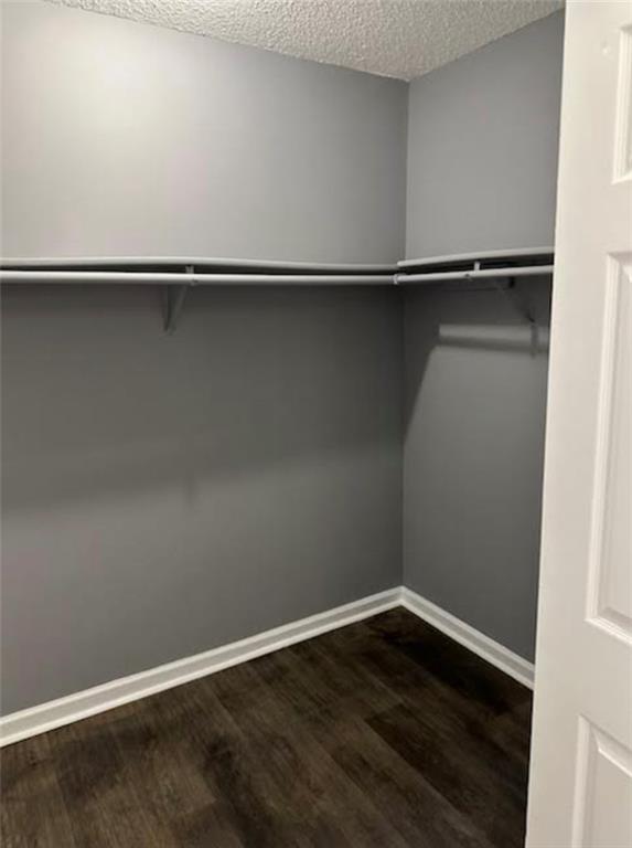 spacious closet featuring hardwood / wood-style flooring