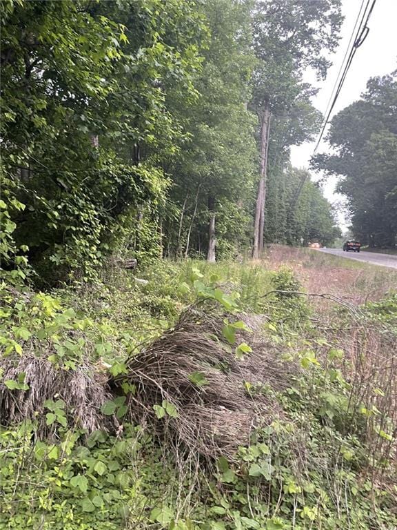 4030 River Rd, Ellenwood, GA 30294