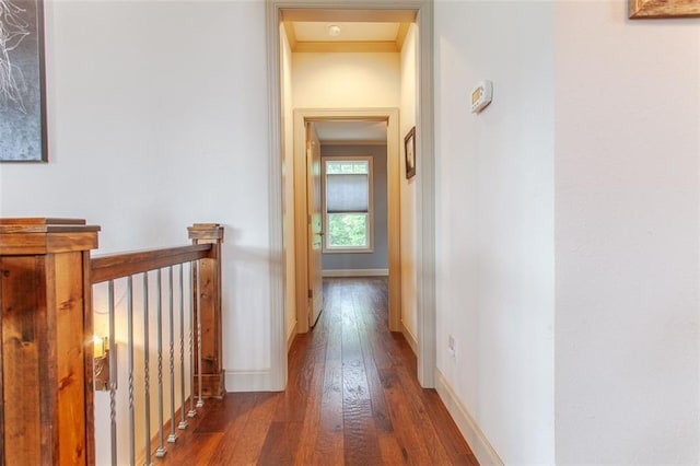 hallway with ornamental molding and dark hardwood / wood-style flooring