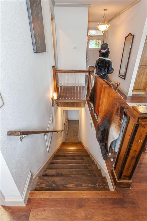 staircase with hardwood / wood-style flooring