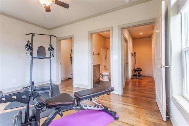 workout room with ceiling fan, light wood-type flooring, ornamental molding, and a healthy amount of sunlight