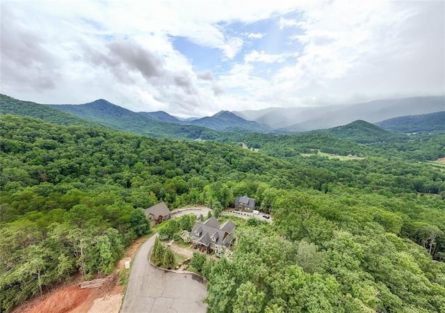 property view of mountains