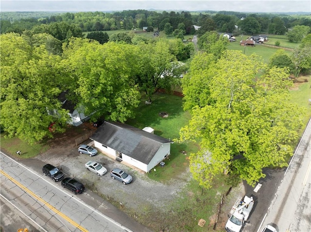 aerial view