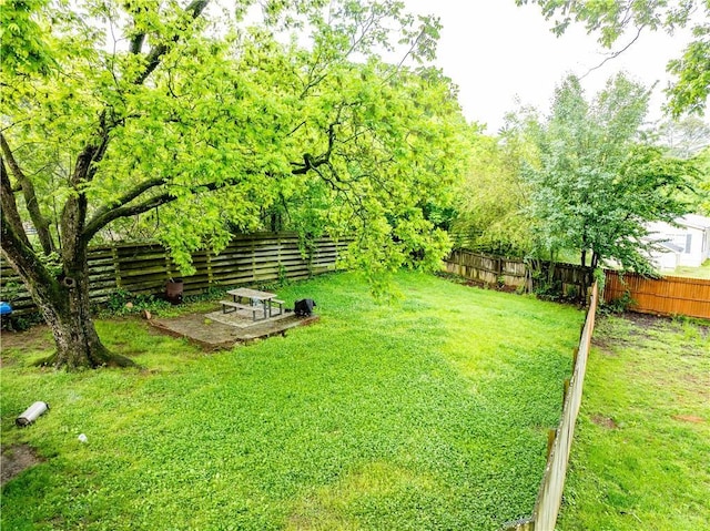 view of yard