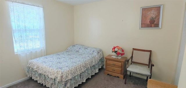 bedroom with carpet