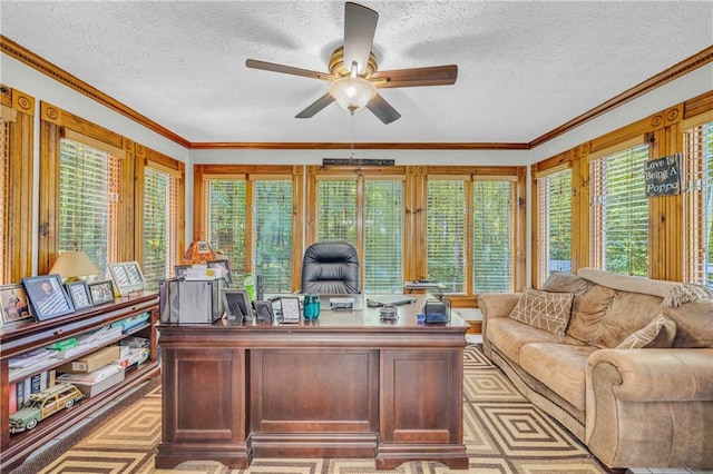 office space featuring a textured ceiling, ceiling fan, and ornamental molding