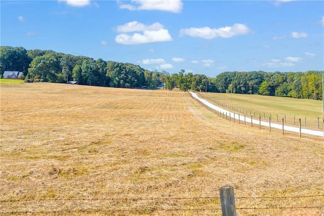 view of yard with a rural view