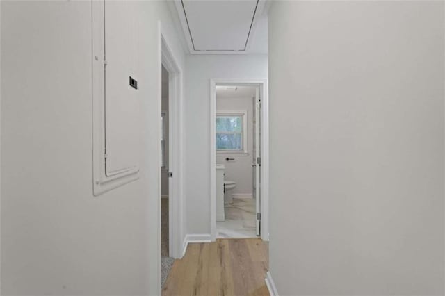 hallway featuring light hardwood / wood-style flooring