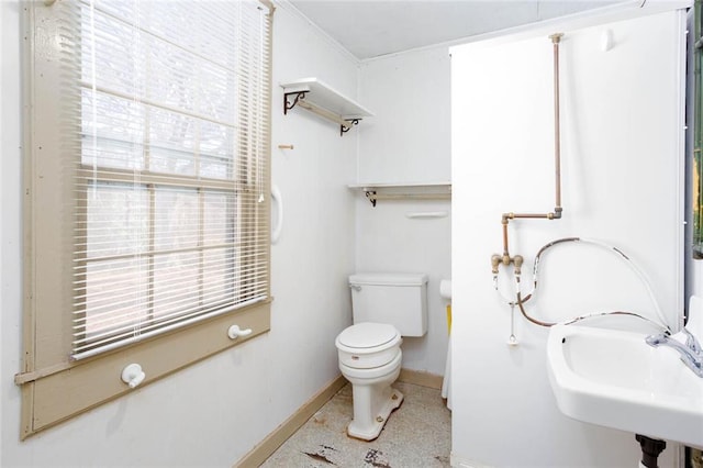 bathroom with sink, a wealth of natural light, and toilet