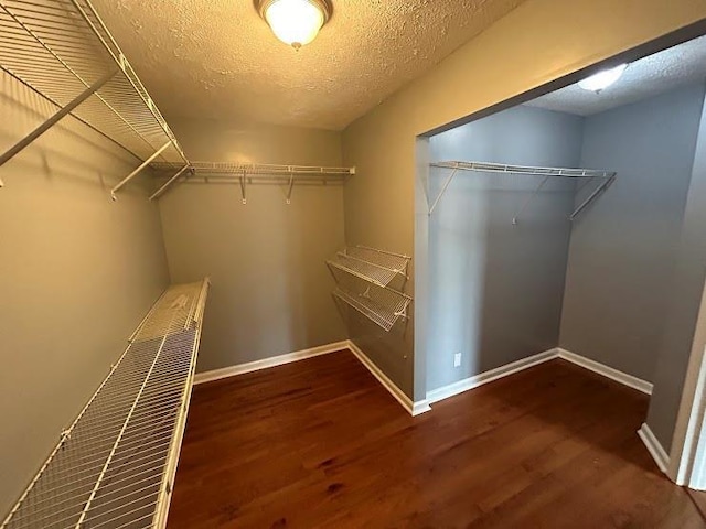 walk in closet with dark hardwood / wood-style floors