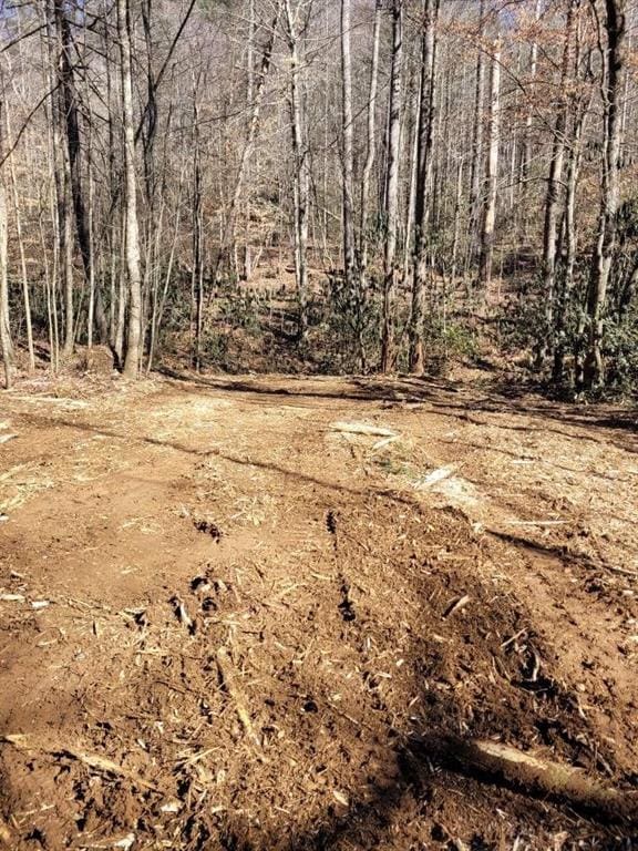 0 Bryant Creek Rd, Ellijay GA, 30540 land for sale