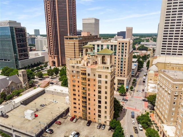 75 Ponce De Leon Ave NE Unit 1006, Atlanta, GA 30308 - city view