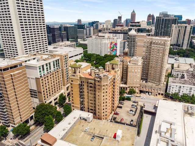 75 Ponce De Leon Ave NE Unit 1006, Atlanta, GA 30308 - skyline view