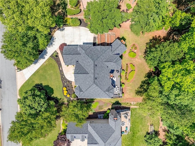 bird's eye view