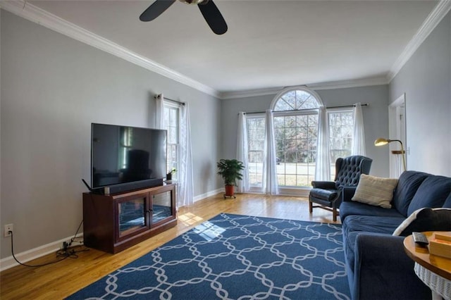 9600 Poplar Ct, Douglasville, GA 30135 - living area featuring plenty of natural light, baseboards, a ceiling fan, wood finished floors, and crown molding