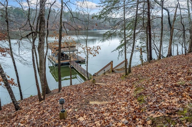 exterior space featuring a boat dock