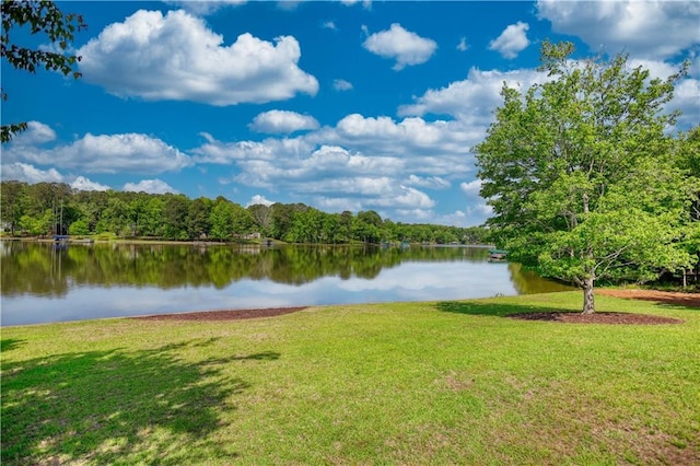 water view with a view of trees
