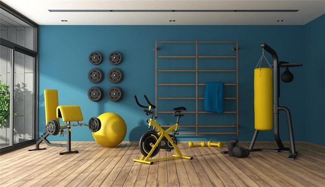 1103 Lynmoor Dr NE, Brookhaven, GA 30319 - exercise room with hardwood / wood-style flooring
