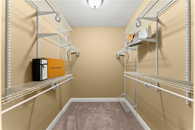 4896 Locklear Way, Marietta, GA 30066 - walk in closet featuring carpet flooring
