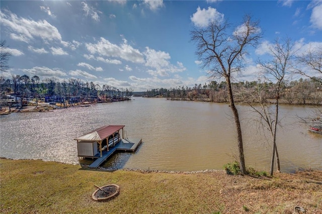 dock area with a water view