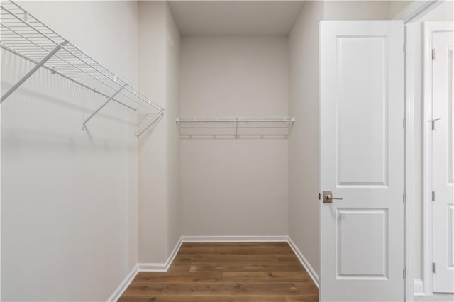 spacious closet with hardwood / wood-style flooring