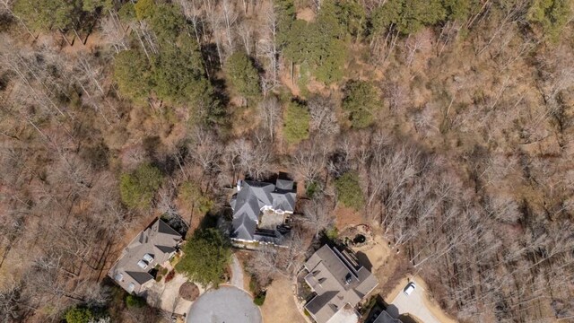 1458 Sweet Bottom Cir, Marietta, GA 30064 - drone / aerial view