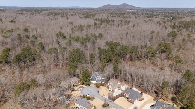 bird's eye view featuring a mountain view and a view of trees