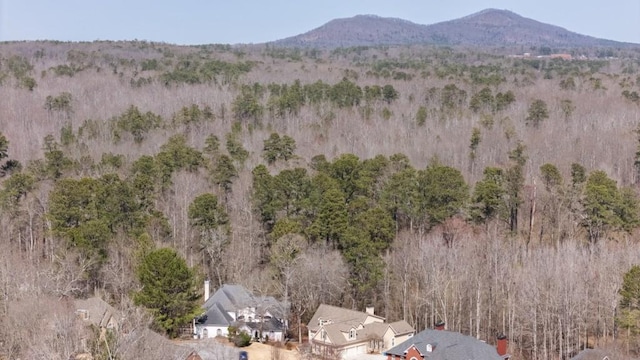 mountain view with a forest view