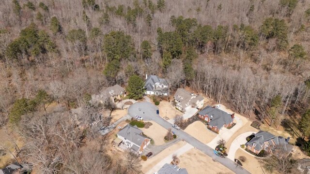 1458 Sweet Bottom Cir, Marietta, GA 30064 - aerial view