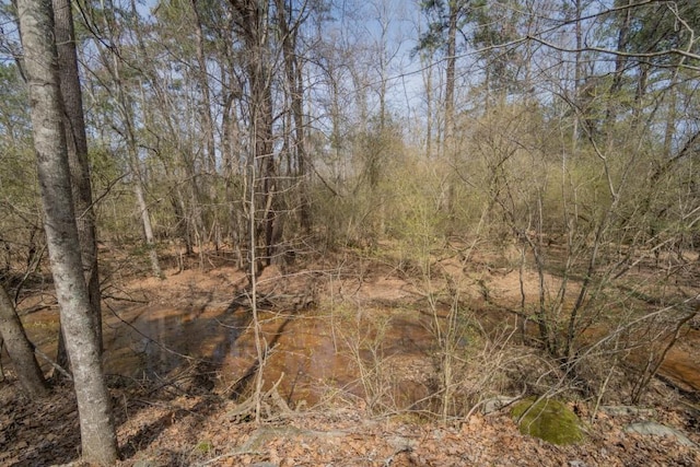 view of nature featuring a wooded view