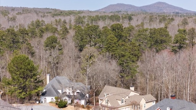 view of mountain feature with a forest view