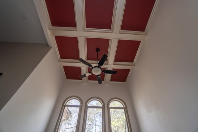 interior details featuring crown molding