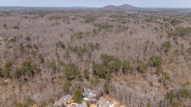 1458 Sweet Bottom Cir, Marietta, GA 30064 - aerial view with a mountain view