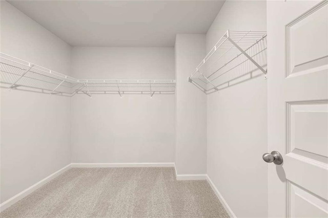 339 Elgin Dr, Lawrenceville, GA 30045 - walk in closet with carpet floors