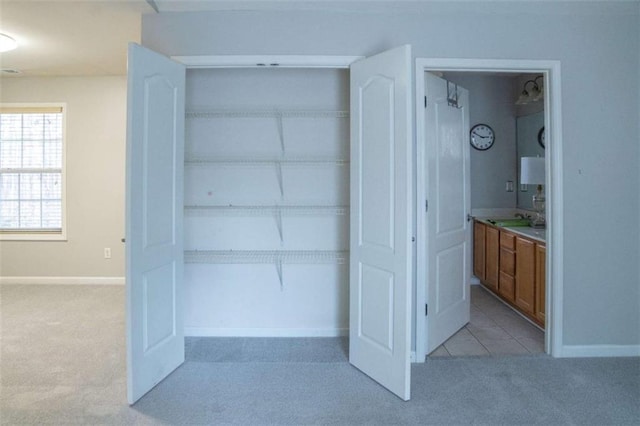 closet with sink