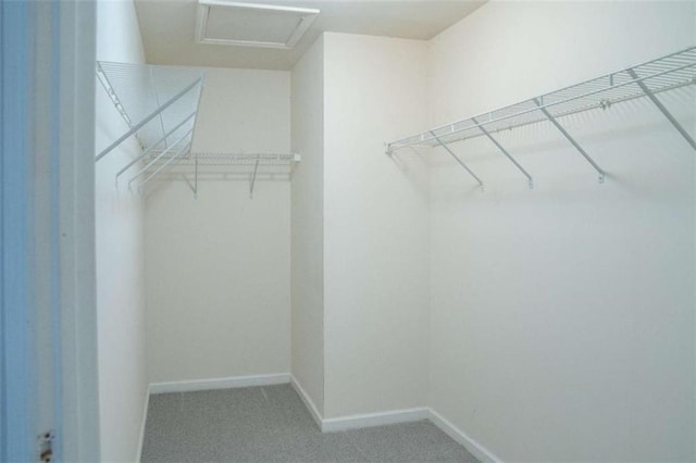 spacious closet with carpet flooring