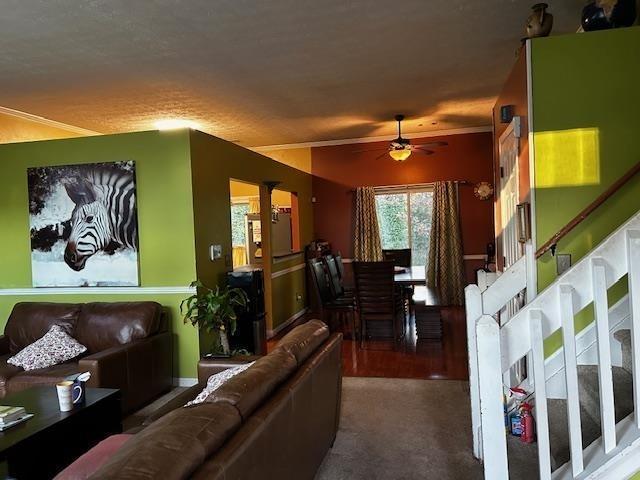 carpeted living room with ceiling fan and crown molding