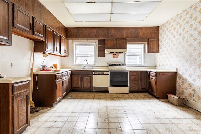 kitchen with dark brown cabinets, sink, a healthy amount of sunlight, and white appliances