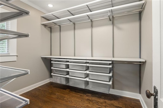 walk in closet with dark wood finished floors