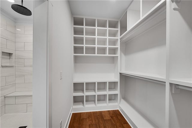 spacious closet featuring hardwood / wood-style flooring