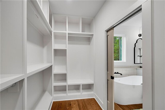 walk in closet with hardwood / wood-style flooring