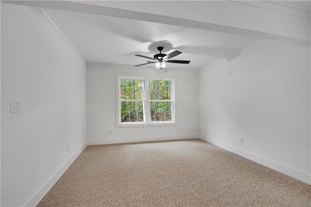 unfurnished room featuring ceiling fan, ornamental molding, and carpet floors